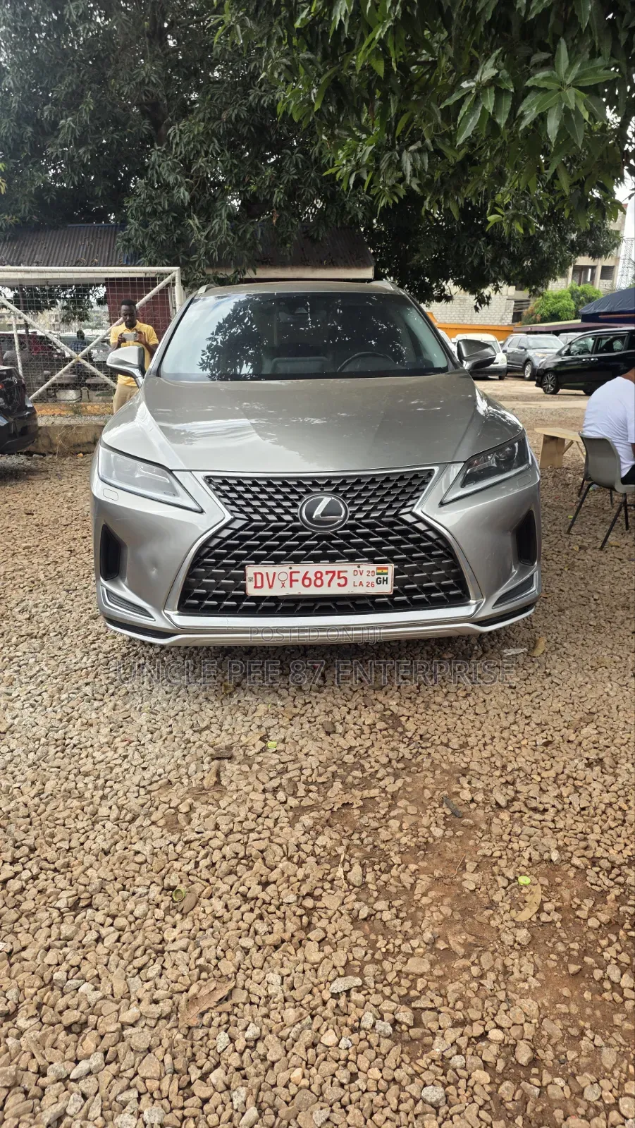 Lexus RX 300 Luxury 2022 Gray