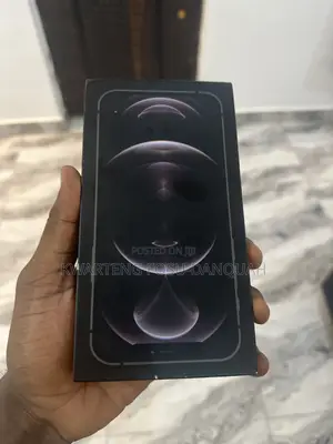 Apple iPhone 12 Pro Max 128 GB Gray