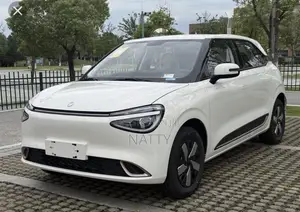 Dongfeng Nammi 01 Windscreen