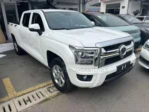 Great Wall Pao 2023 White