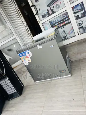 Extremely Classic Nasco 316L Single Door Freezer(Gray)