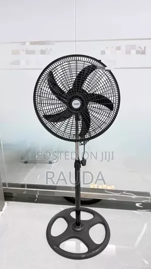 Standing Fan