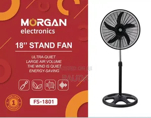 Standing Fan