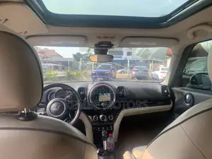 Mini Countryman 2019 Brown