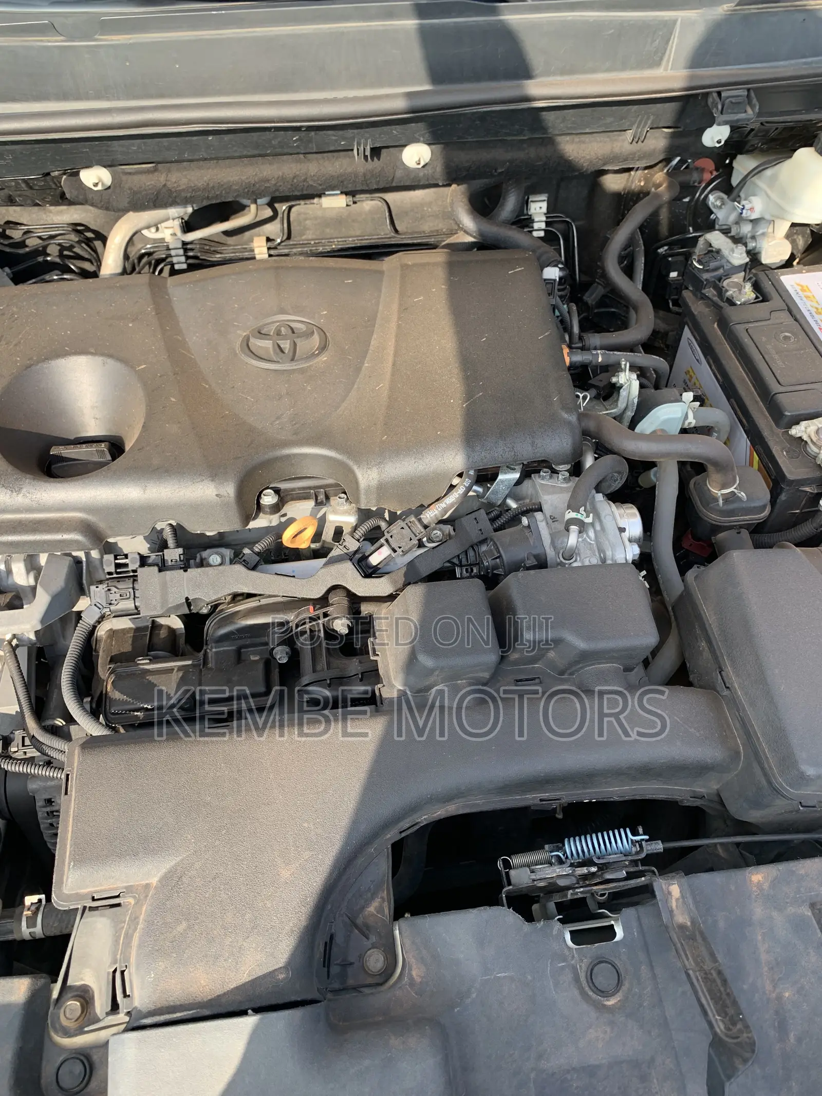 Toyota Tacoma 2018 Green
