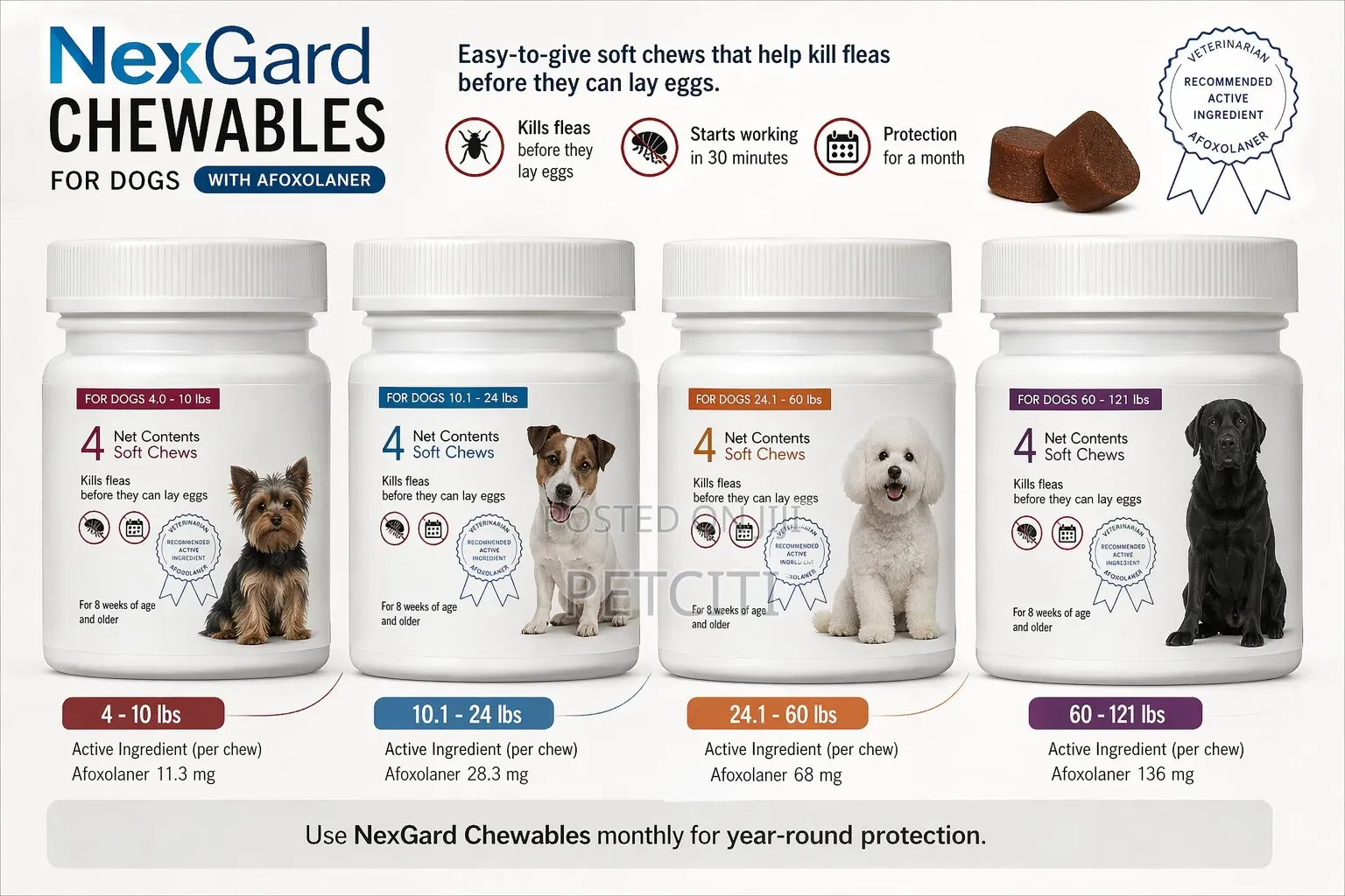 Dog Tick Flea Chew
