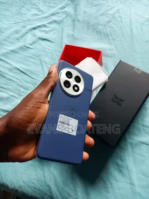 OnePlus 13 512 GB Blue
