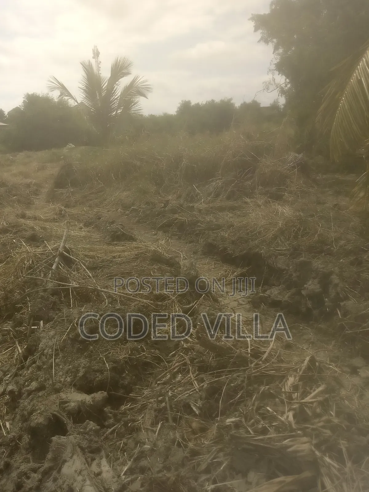 Land for Sale