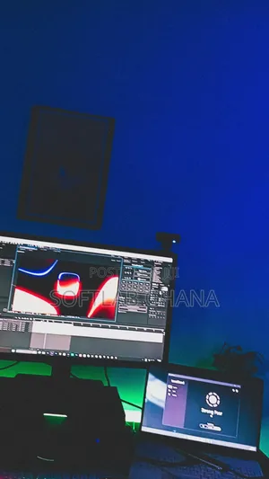 Professional Graphic and Motion Designer