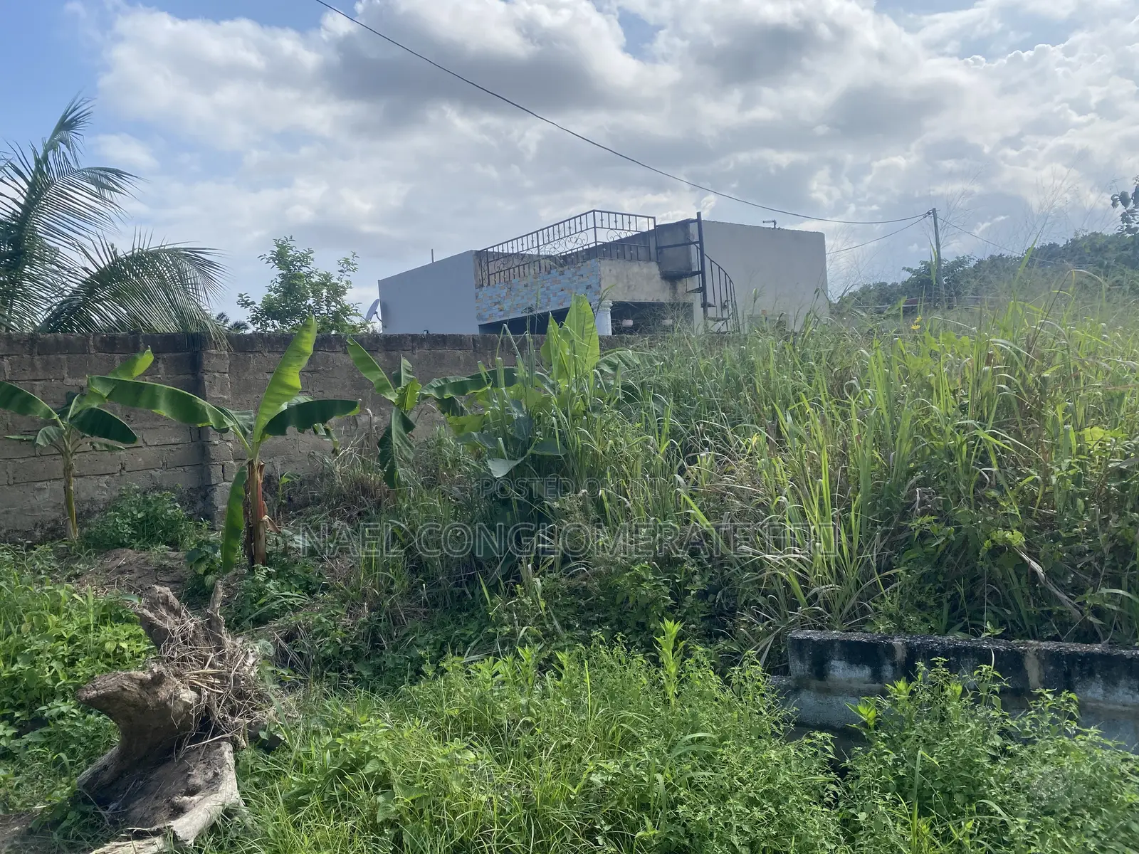 Plots of Land (Fenced)for Sale Doboro Near Blue Skies Company Limited