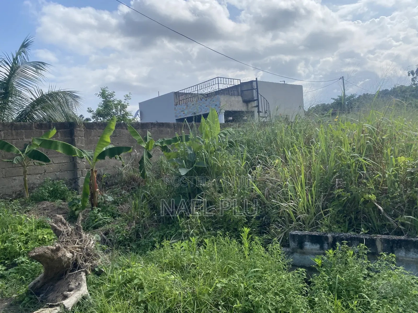 Plots of Land (Fenced)for Sale Doboro Near Blue Skies Company Limited
