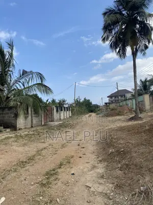 Plots of Land (Fenced)for Sale Doboro Near Blue Skies Company Limited
