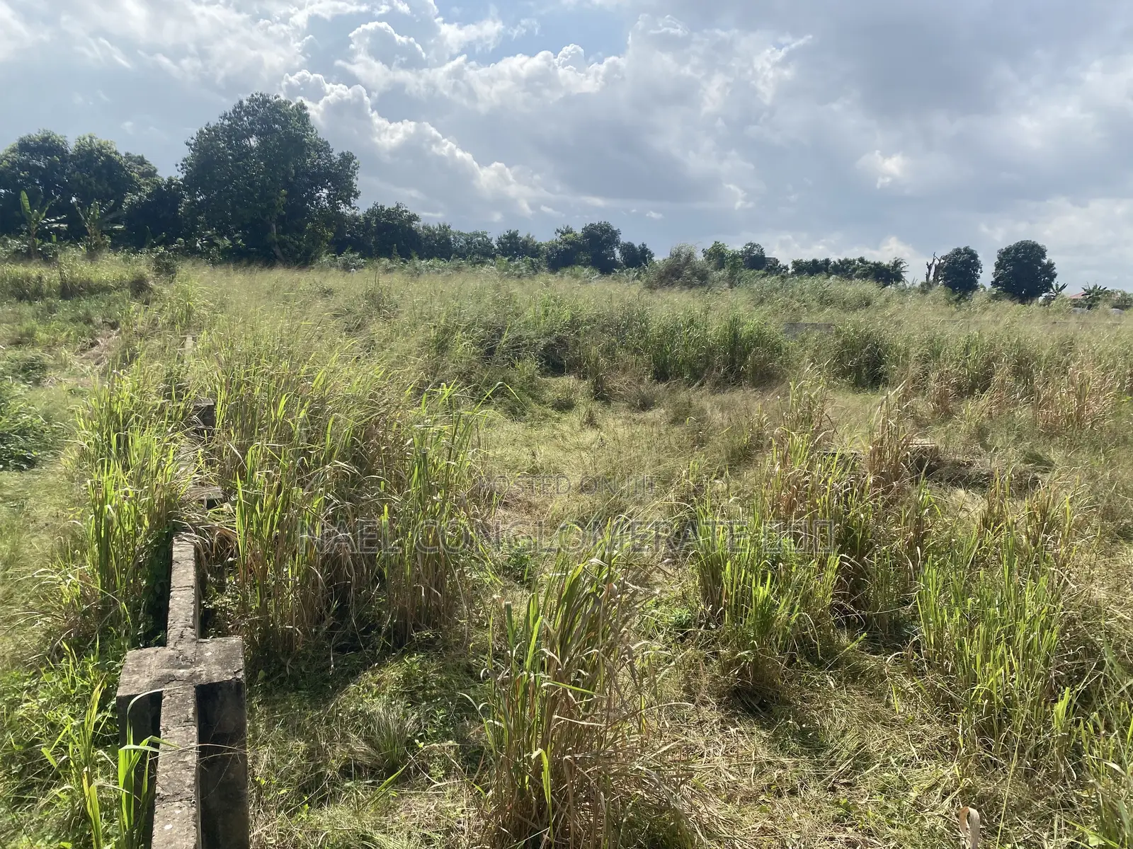 Plots of Land (Fenced)for Sale Doboro Near Blue Skies Company Limited