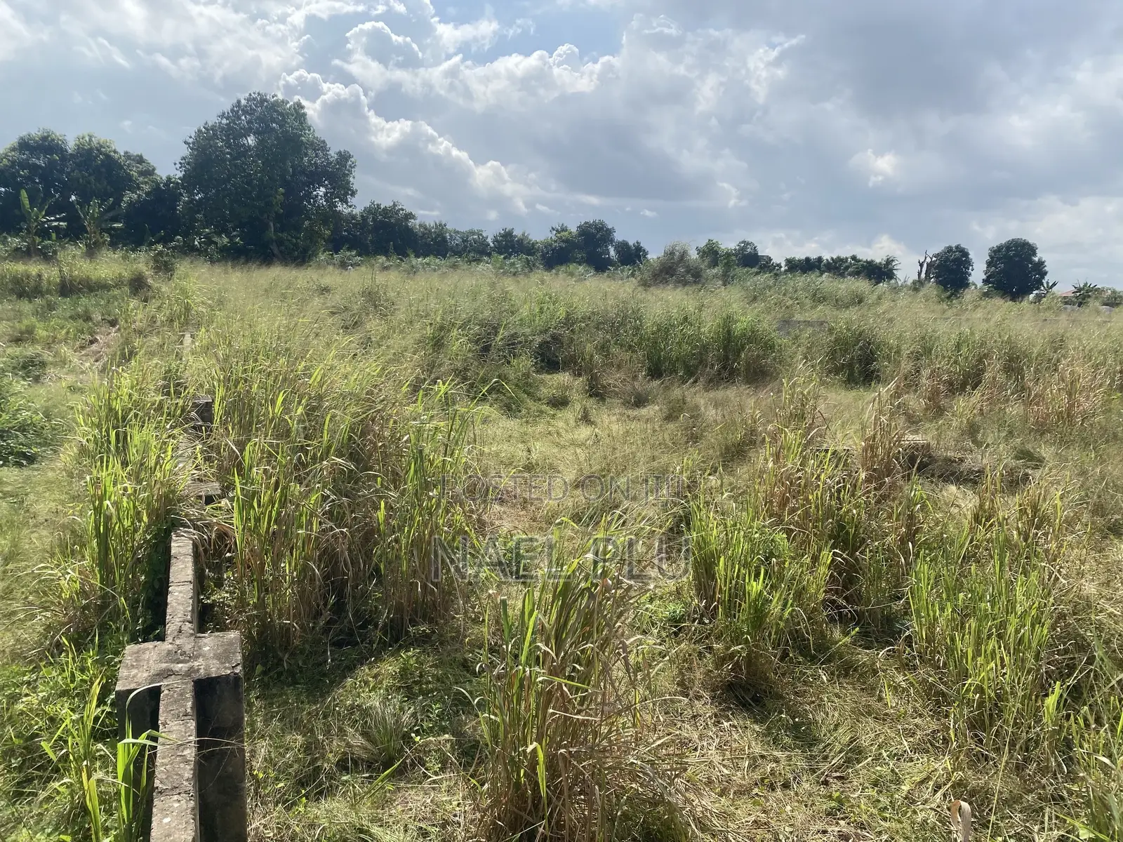 Plots of Land (Fenced)for Sale Doboro Near Blue Skies Company Limited