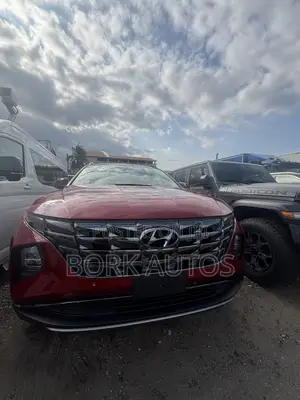 Hyundai Tucson 2024 Brown