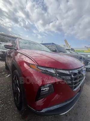 Hyundai Tucson 2024 Brown