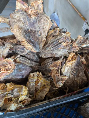 Nigeria Fresh Food Stuffs