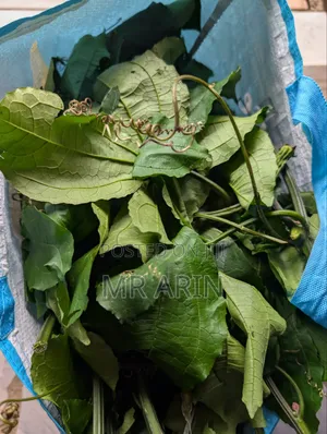 Nigeria Fresh Food Stuffs