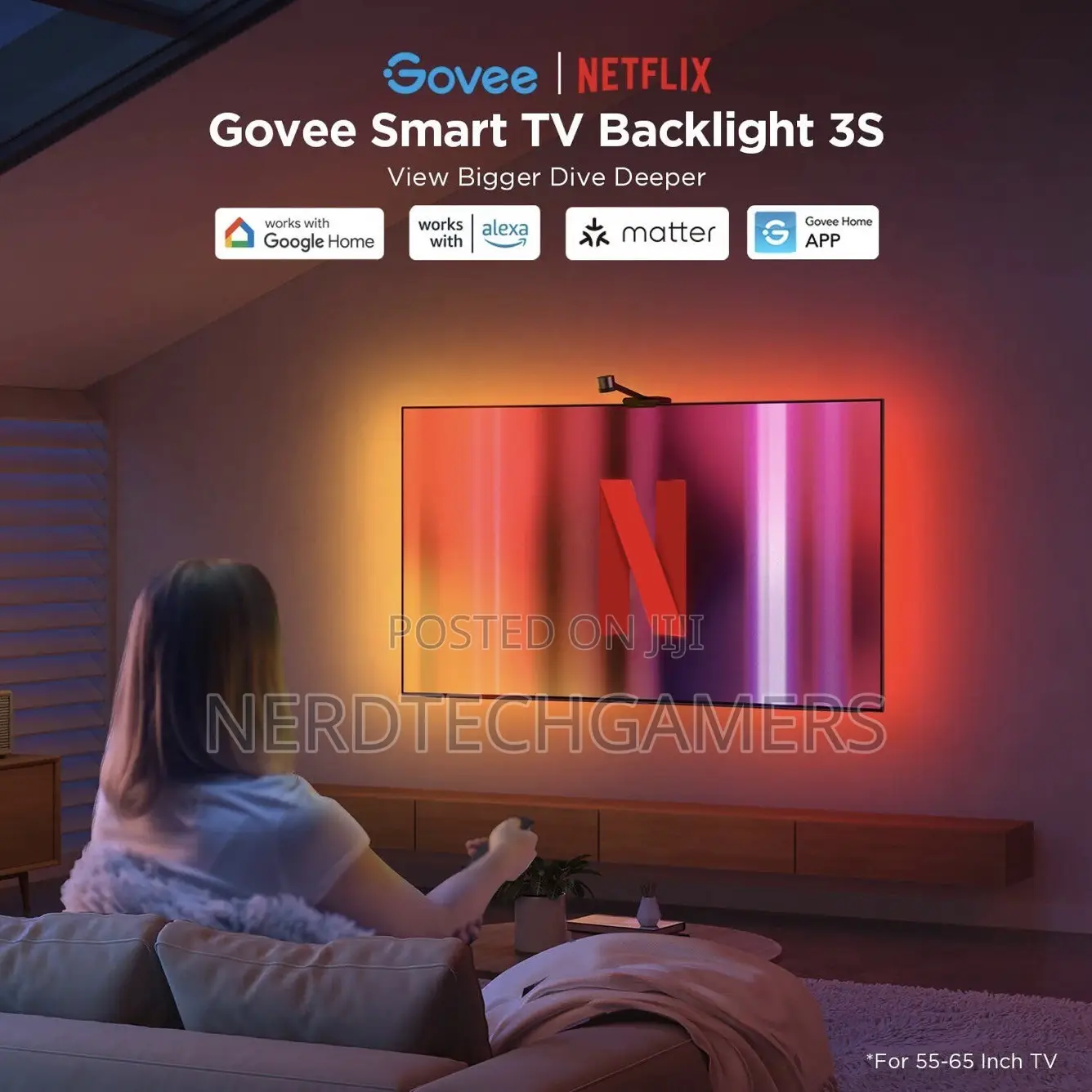 Govee Netflix Smart TV Backlight 3s