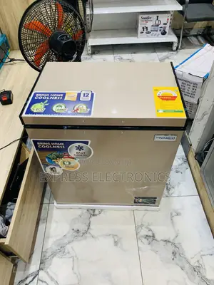 Nasco 150L 2-Star Chest Freezer Gold Colour [NAS-200FL-G]