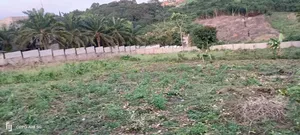 4 Plots at Peduase