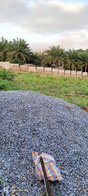 4 Plots at Peduase