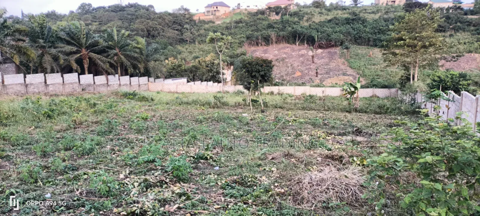4 Plots at Peduase