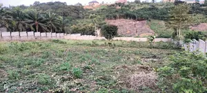 4 Plots at Peduase
