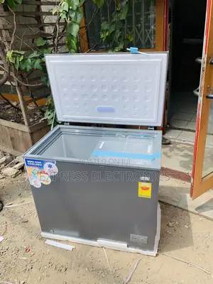 Single Door Cool Price Nasco 318L Chest Freezer - NAS-425FL - Silver