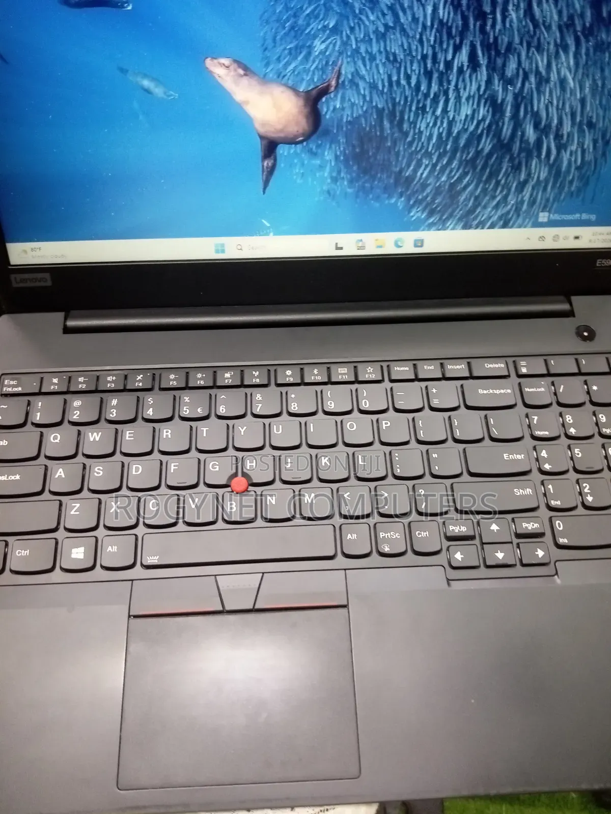 Laptop Lenovo 8GB Intel Core i5 SSD 256GB