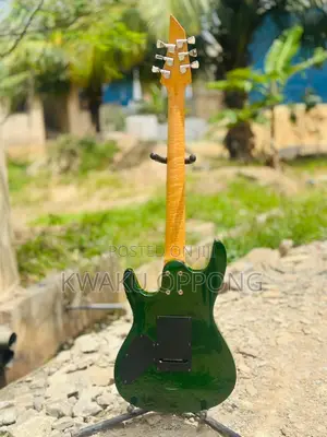 Dimavery Custom Guitar