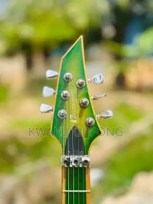 Dimavery Custom Guitar