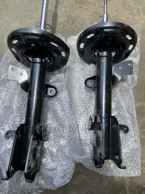 Honda Pilot 2009-2010,2011,2012,2013,2014,2015 Front Shocks Absorbers