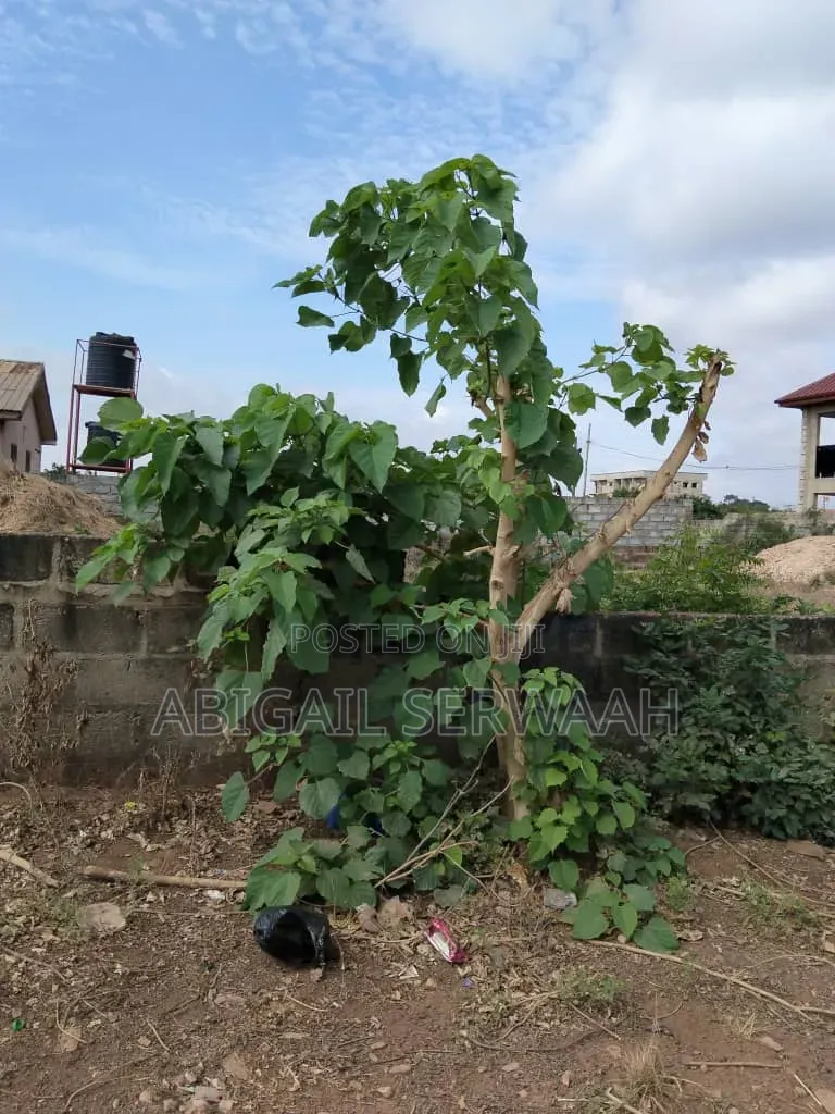 Titled Land for Sale in Oyibi.