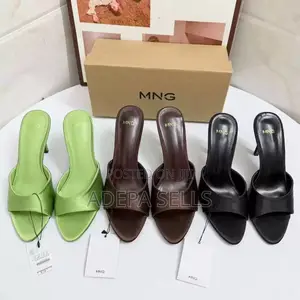 Pre-Order Zara Heels