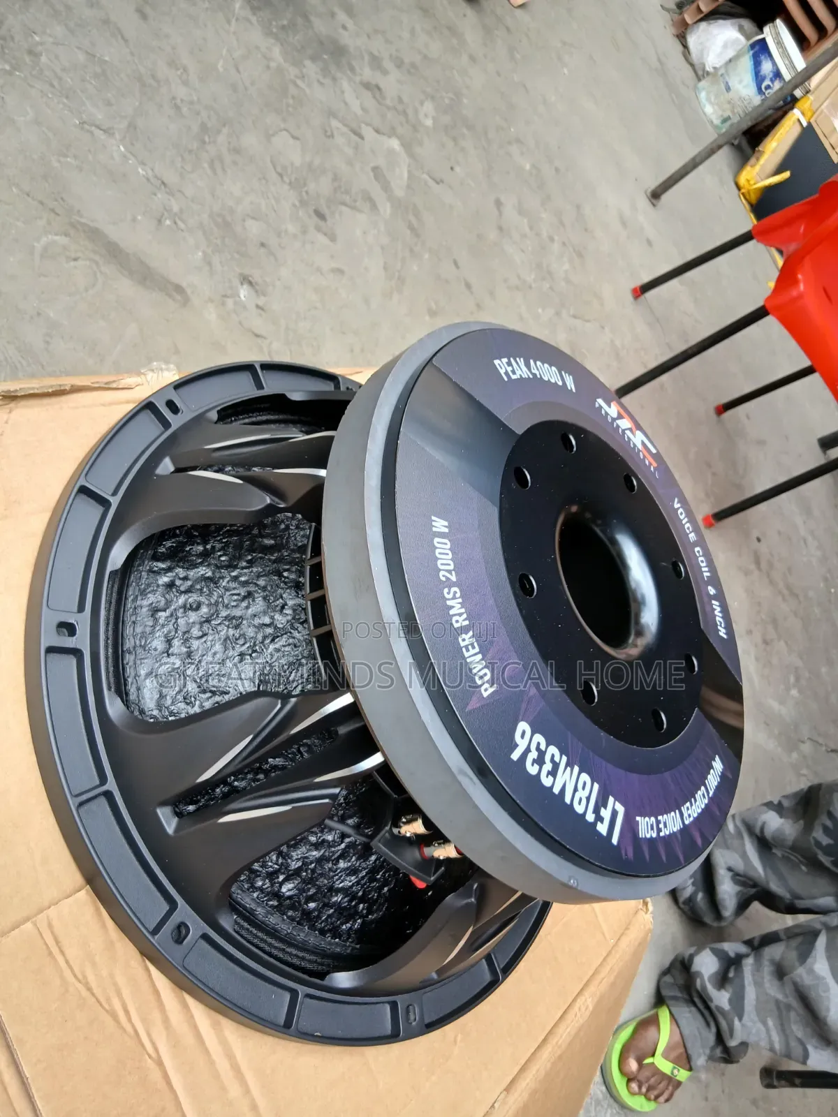 4000 Watts Jac 18" Naked Speakers