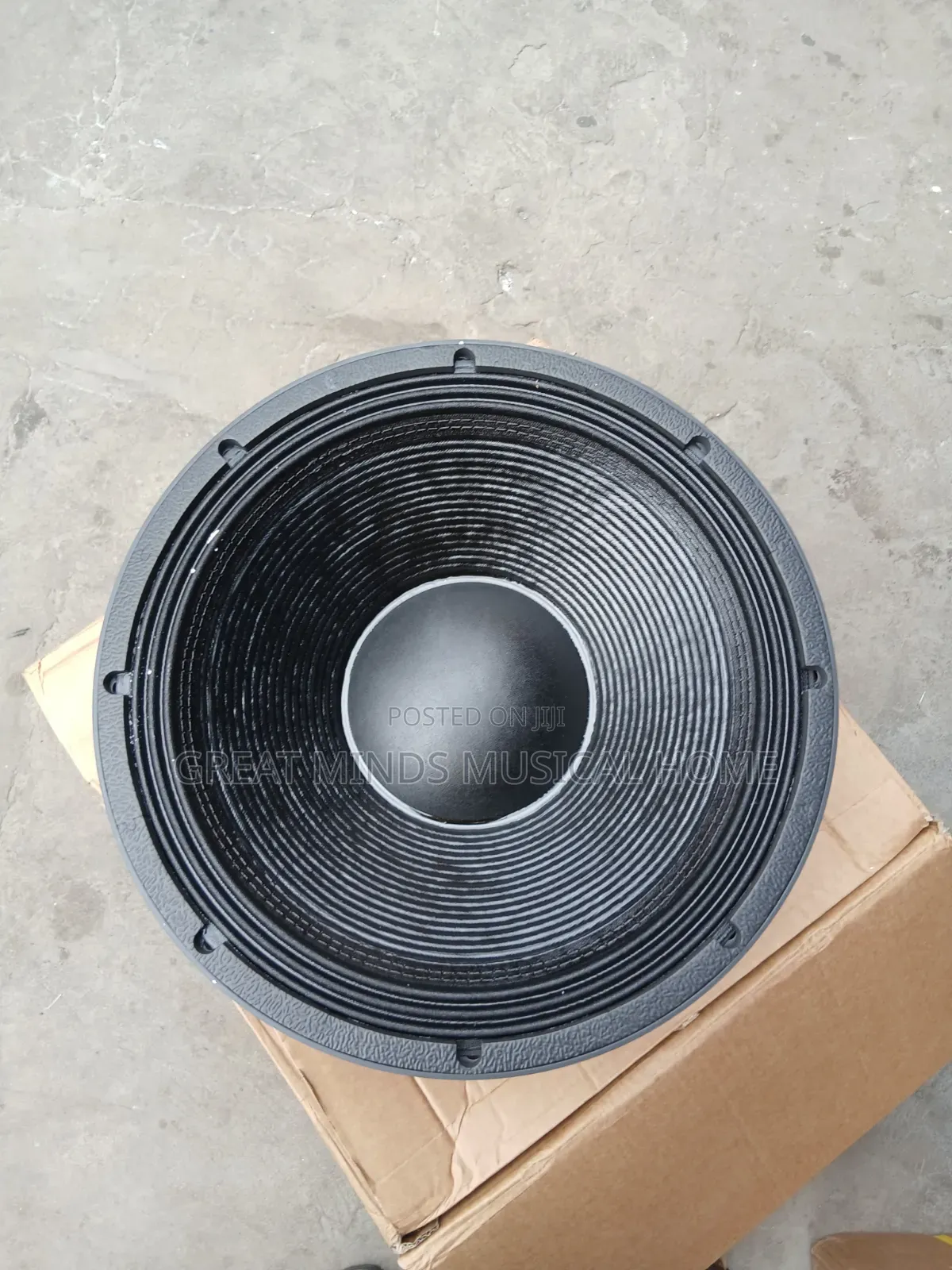 4000 Watts Jac 18" Naked Speakers