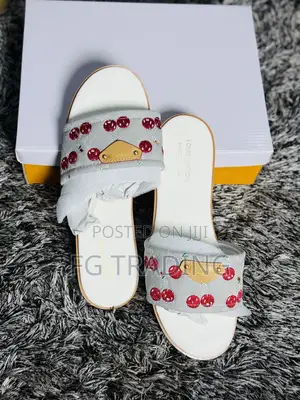 Louis Vuitton Slippers _ LV Slippers