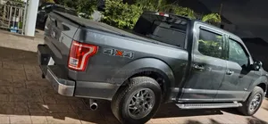 Ford F-150 2016 Gray