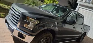 Ford F-150 2016 Gray