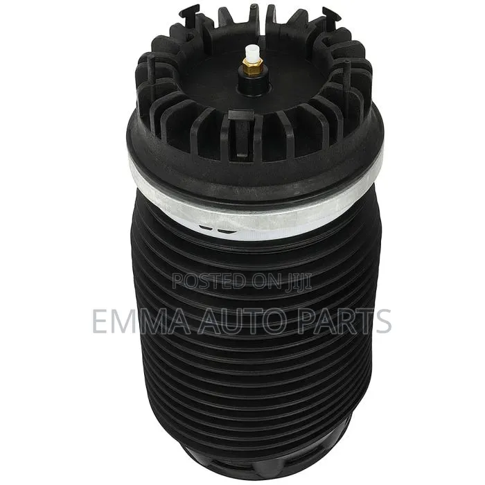 Dodge Ram 2019 to 2025 Back Air Suspension