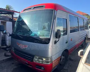 Toyota Coaster 2012 Silver