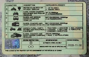 Professional Driver