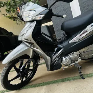 Sonlink SL100 2025 Gray