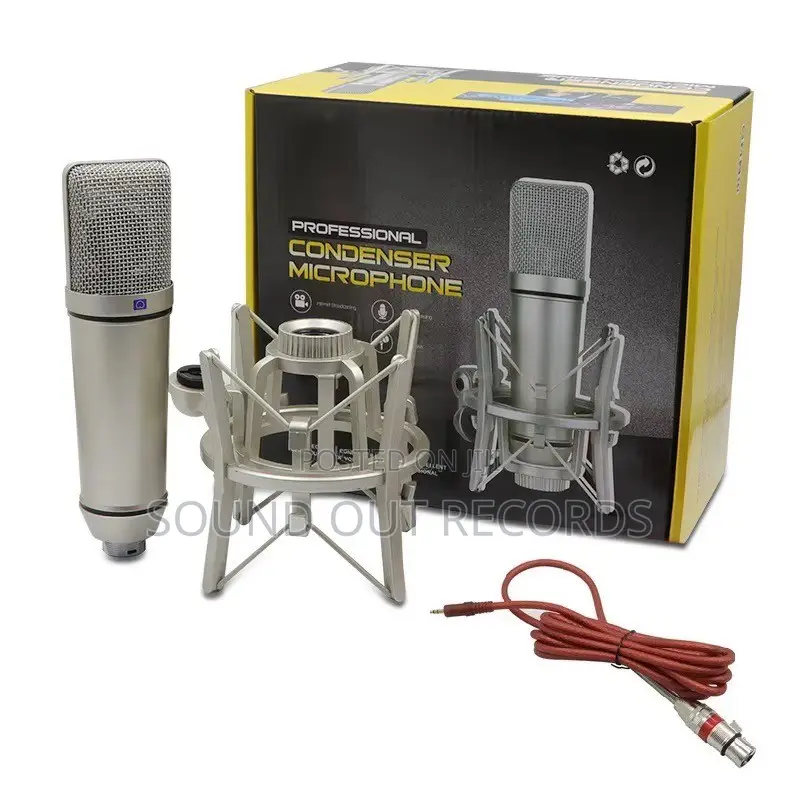 Microphone U87 Large Capsule Microphone