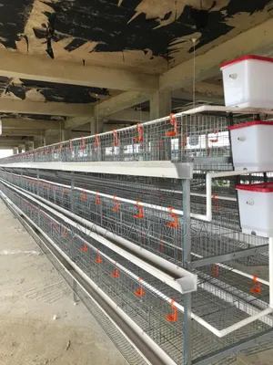 Poultry Equipment
