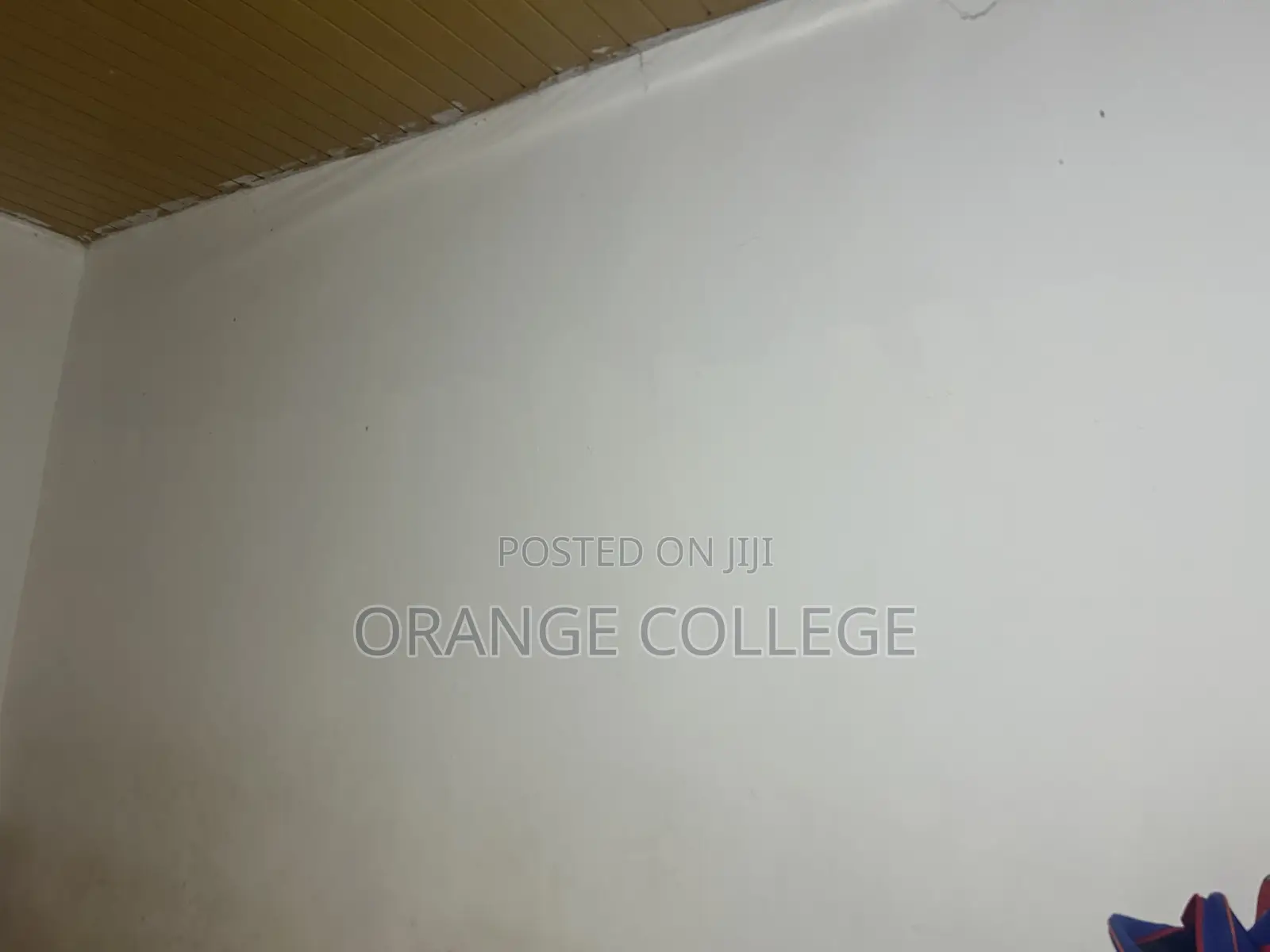 1bdrm Shared Apartment in Malejor for rent