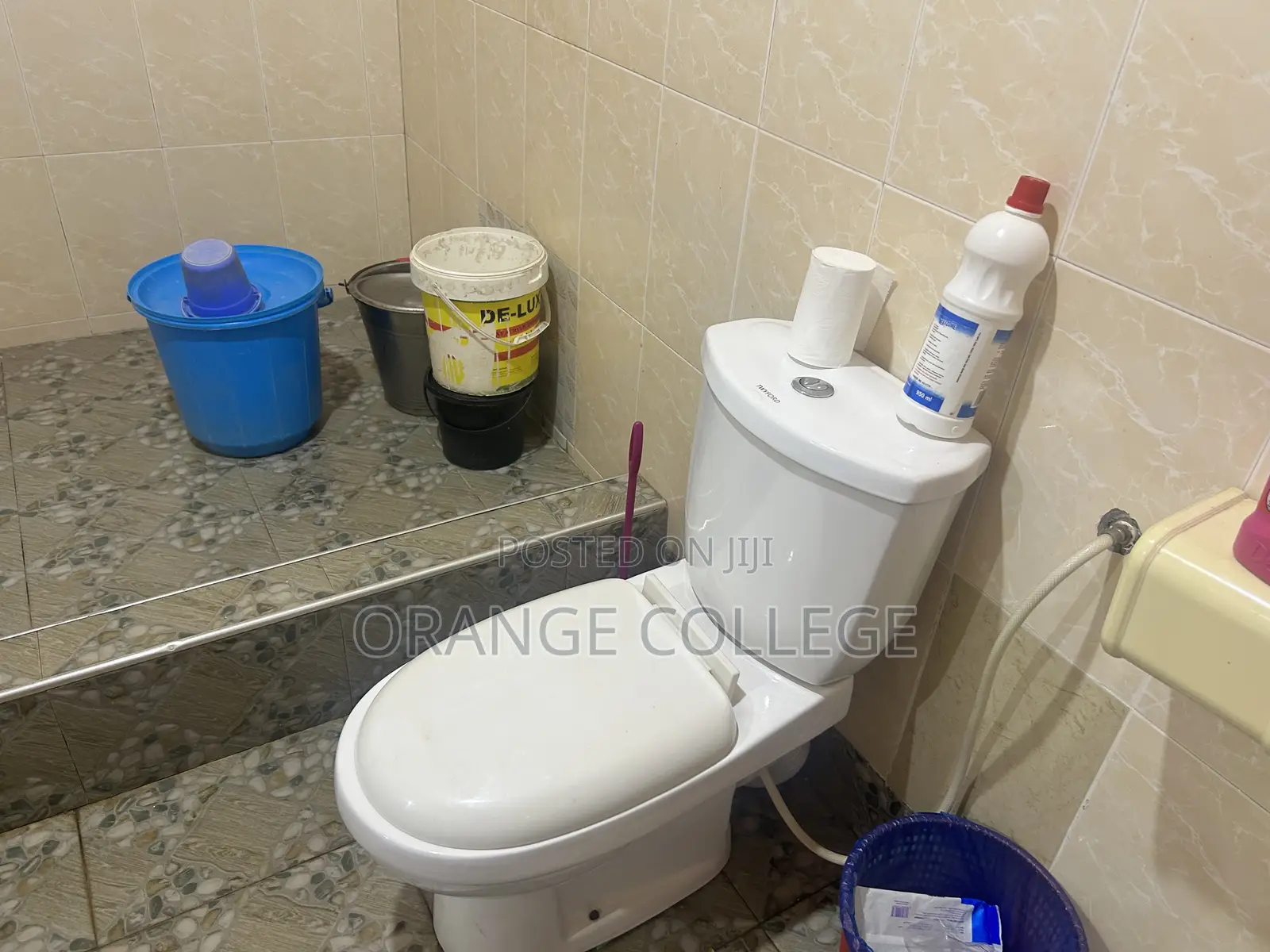 1bdrm Shared Apartment in Malejor for rent
