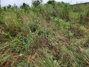 1 Acre Litigation-Free Land for Sale!!.secure Your Land