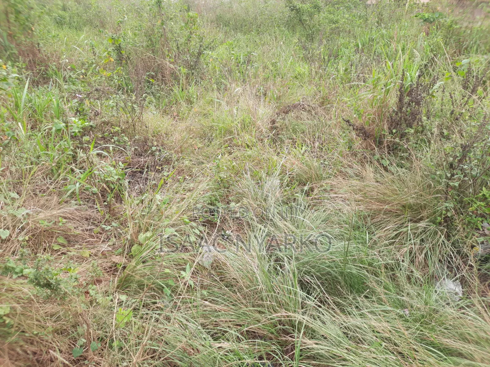 1 Acre Litigation-Free Land for Sale!!.secure Your Land